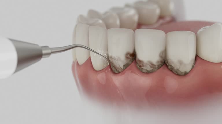 Reliable Dental contractor in St. Stephens, NC by Dentist Open Now